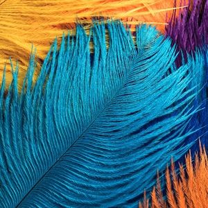 Meet your Posher, Shirley